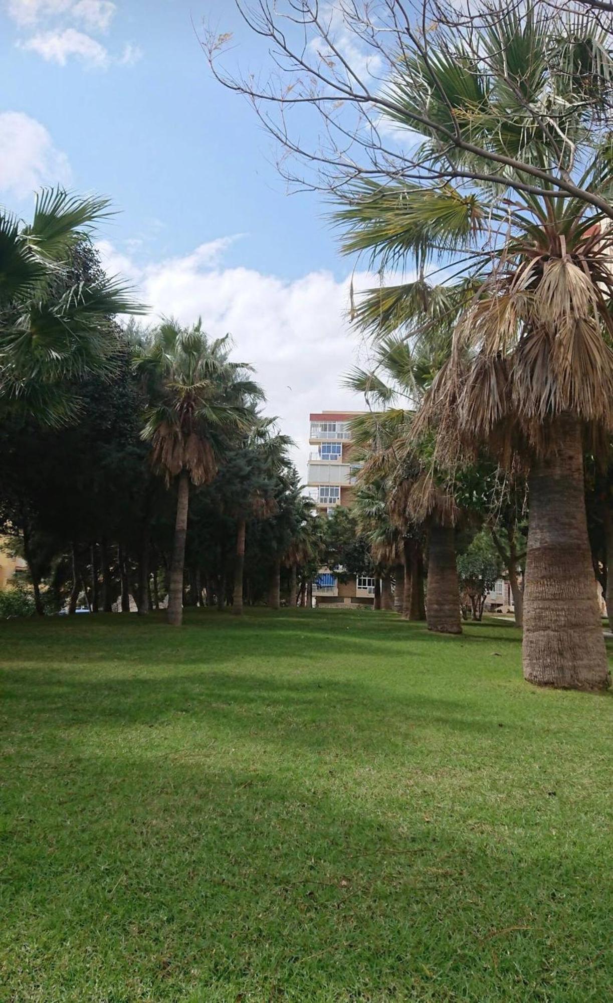 Hercules Paradise 531 Apartamento Con Vistas Al Mar Mediterraneo En Benalmadena A Pasos Del Centro Y Su Vibrante Zona Comercial Disfruta De Una Experiencia Unica En La Costa Del Sol Malaga Andalucia Well-Connected To The Airport Buitenkant foto